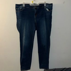 Torrid Skinny Jeans 26T